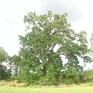 Meet your Posher, Mia